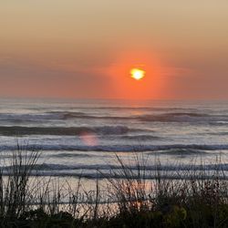 Tillicum Beach Motel