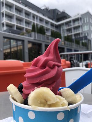 Coastal Frozen Yogurt by null