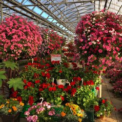Price's Country Market & Greenhouse - Colourful flowers at unbeatable prices...