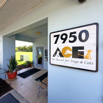 Ace Pet Resort - Pet Sitting Near Me - Sarasota, Florida Ace Pet Resort - Pet Sitting Near Me - Sarasota, Florida