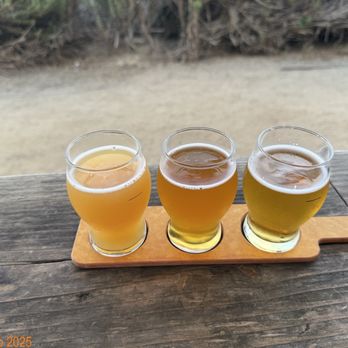 Viewpoint Brewing - Pre-Selected Hoppy Flight - Breweries Near Me - Del Mar, California