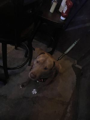 Buffalo Bros by null