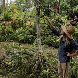 Princeville Botanical Gardens - Mr Troy from Illinois, the tour guide.