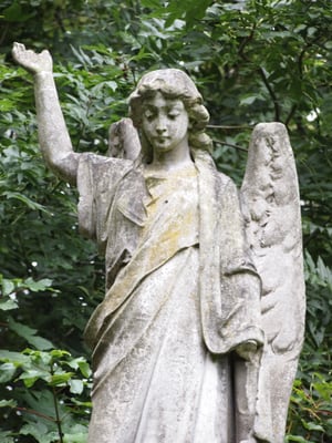 Nunhead Cemetery by null