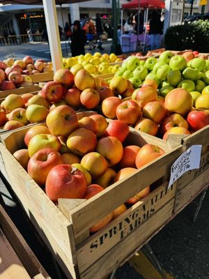 FRESHFARM Downtown Silver Spring Market by null