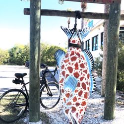 Bike & Beach Rentals & Sales of Boca Grande