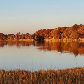 Edith Read Wildlife Sanctuary - Gorgeous warm November afternoon on a victorious weekend!!  - (11/8/2020) - Hiking Near Me - Rye, New York