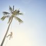 Malama Tree Care