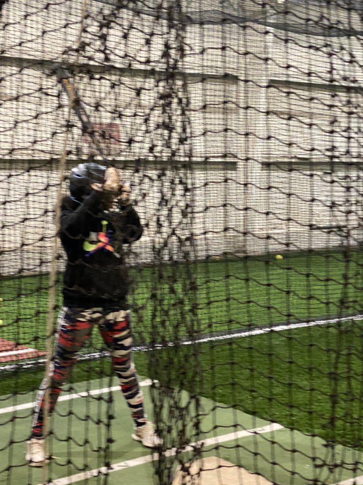 Home Plate Sales and Training Facility Logo
