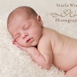 Starla Wise Photography - Starla Wise Newborn Session