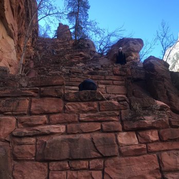 Angel's Landing - Zig zag climbe - Hiking Near Me - Springdale, Utah Angel's Landing - Zig zag climbe - Hiking Near Me - Springdale, Utah