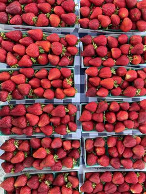 The Vineyard Farmer's Market by null