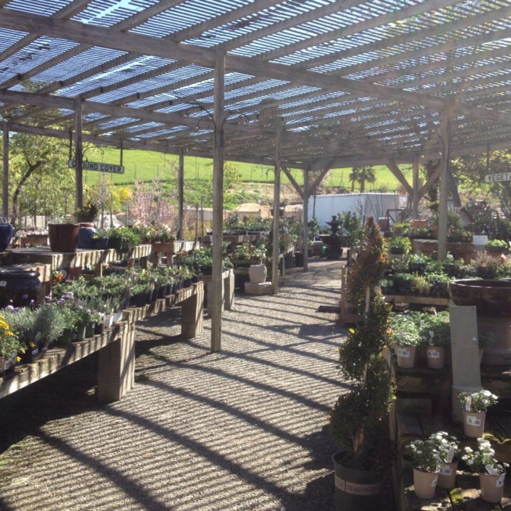 Western Garden Nursery - Nurseries & Gardening Near Me - Pleasanton, California Western Garden Nursery - Nurseries & Gardening Near Me - Pleasanton, California