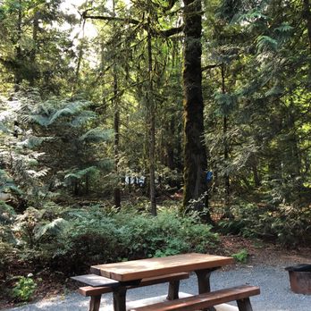 Cultus Lake Provincial Park - Kind of crowded and noisy but amazing trees! - Hiking Near Me