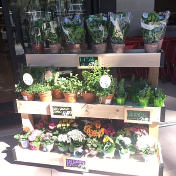 Trader Joe's - Fun plants out front! - Grocery Near Me - Dallas, Texas Trader Joe's - Fun plants out front! - Grocery Near Me - Dallas, Texas