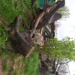 Wildkatzenscheune und Wildkatzengehege im Wildkatzendorf