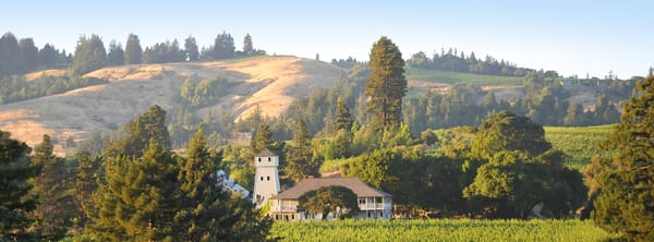 Handley Cellars by null
