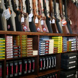 Accurate Firearms - Huge Selection of Guns and Ammo!