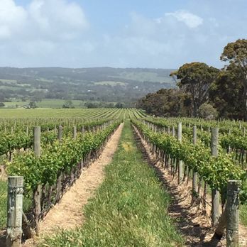 Wine Diva Tours - Wine Tours Near Me - McLaren Vale, SA Wine Diva Tours - Wine Tours Near Me - McLaren Vale, SA