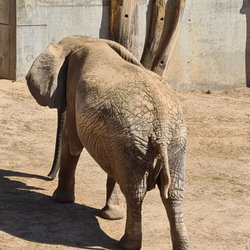 Zoo Halle