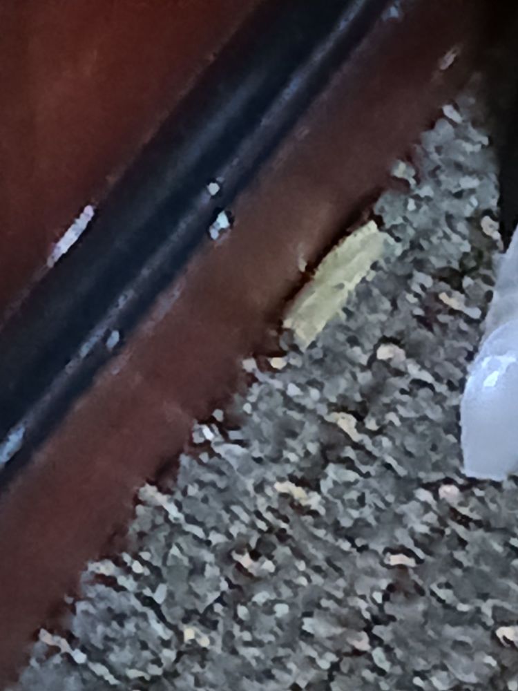 Ramada Plaza by Wyndham Atlanta Airport