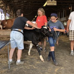 Middletown Grange Fair - The charms of a local 4H fair