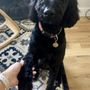 Doggy Styles