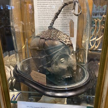Cooper Street Antique Mall - Preserved skull from Guinea - Antiques Near Me - Arlington, Texas Cooper Street Antique Mall - Preserved skull from Guinea - Antiques Near Me - Arlington, Texas