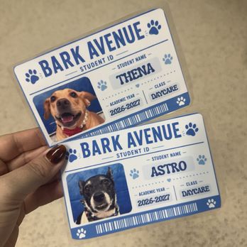 Bark Avenue Omaha - Pet Groomers Near Me - Omaha, Nebraska