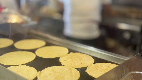 The Taco Stand by null