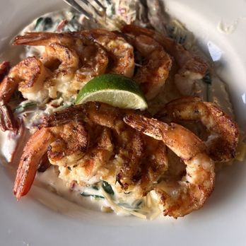 Conch Republic Seafood - Saint Kitts Pasta - Seafood Near Me - Key West, Florida Conch Republic Seafood - Saint Kitts Pasta - Seafood Near Me - Key West, Florida