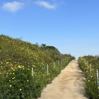Baldwin Hills Scenic Overlook - Trail - Parks Near Me - Culver City, California Baldwin Hills Scenic Overlook - Trail - Parks Near Me - Culver City, California