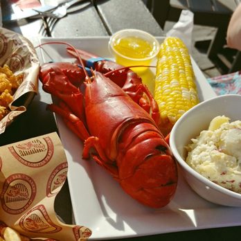 The Lobster Trap - Steamed lobster - Seafood Near Me - Bourne, Massachusetts The Lobster Trap - Steamed lobster - Seafood Near Me - Bourne, Massachusetts