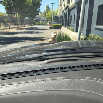 Jet Black Tint - Car Window Tinting Near Me - Hayward, California Jet Black Tint - Car Window Tinting Near Me - Hayward, California