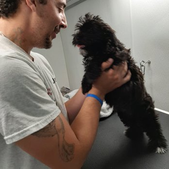 Precision Mobile Pet Grooming - Pet Groomers Near Me Precision Mobile Pet Grooming - Pet Groomers Near Me