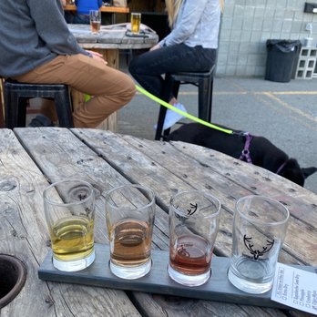 Double Shovel Cider - four glasses of cid and a dog - Cideries Near Me - Anchorage, Alaska