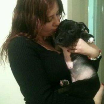 Verg - First day I took her home, almost 3 months here - Emergency Pet Hospital Near Me - Brooklyn, New York Verg - First day I took her home, almost 3 months here - Emergency Pet Hospital Near Me - Brooklyn, New York