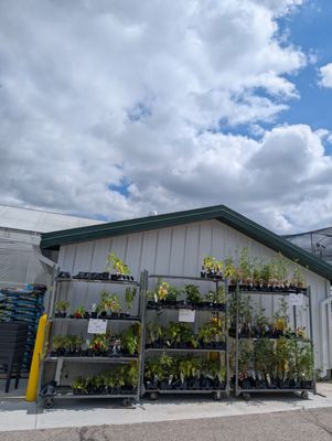 Horrocks Farm Market by null