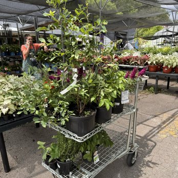 Atlantic Gardening Company - Today's haul. - Nurseries & Gardening Near Me - Raleigh, North Carolina