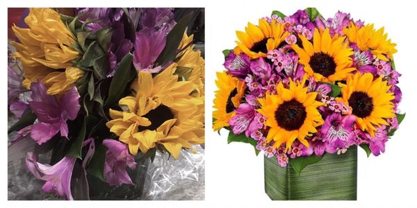 The Flower Pot & Basket Shop