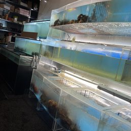 Real life seafood