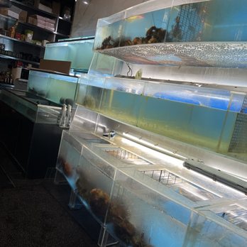 Haiyu Seafood Restaurant - Real life seafood - Seafood Near Me - Plano, Texas