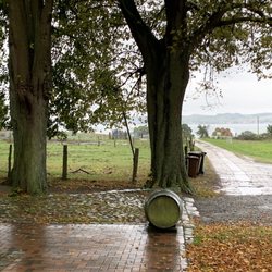 Mönchguter Hofbrennerei Zur Strandburg