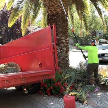 LS Landscaping & Tree Care - In service - Tree Services Near Me