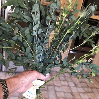 UrbanStems - no flowers - Florists Near Me UrbanStems - no flowers - Florists Near Me