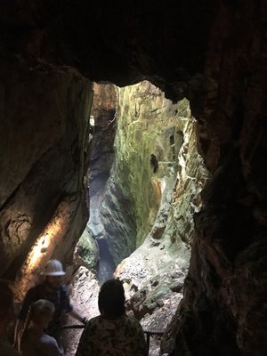 Consolidated Gold Mine by null