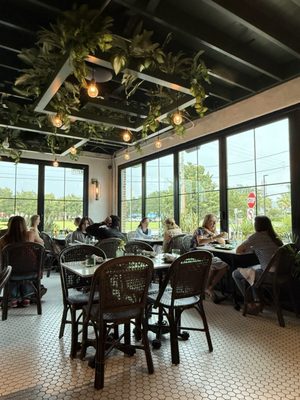 Otto’s High Dive by null