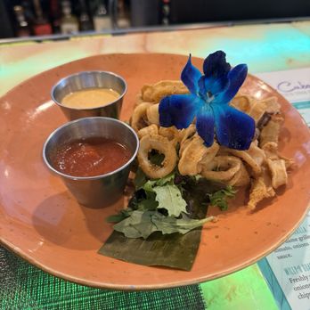 The Cuban - Fried Calamari - Cuban Near Me - Bayside, New York The Cuban - Fried Calamari - Cuban Near Me - Bayside, New York