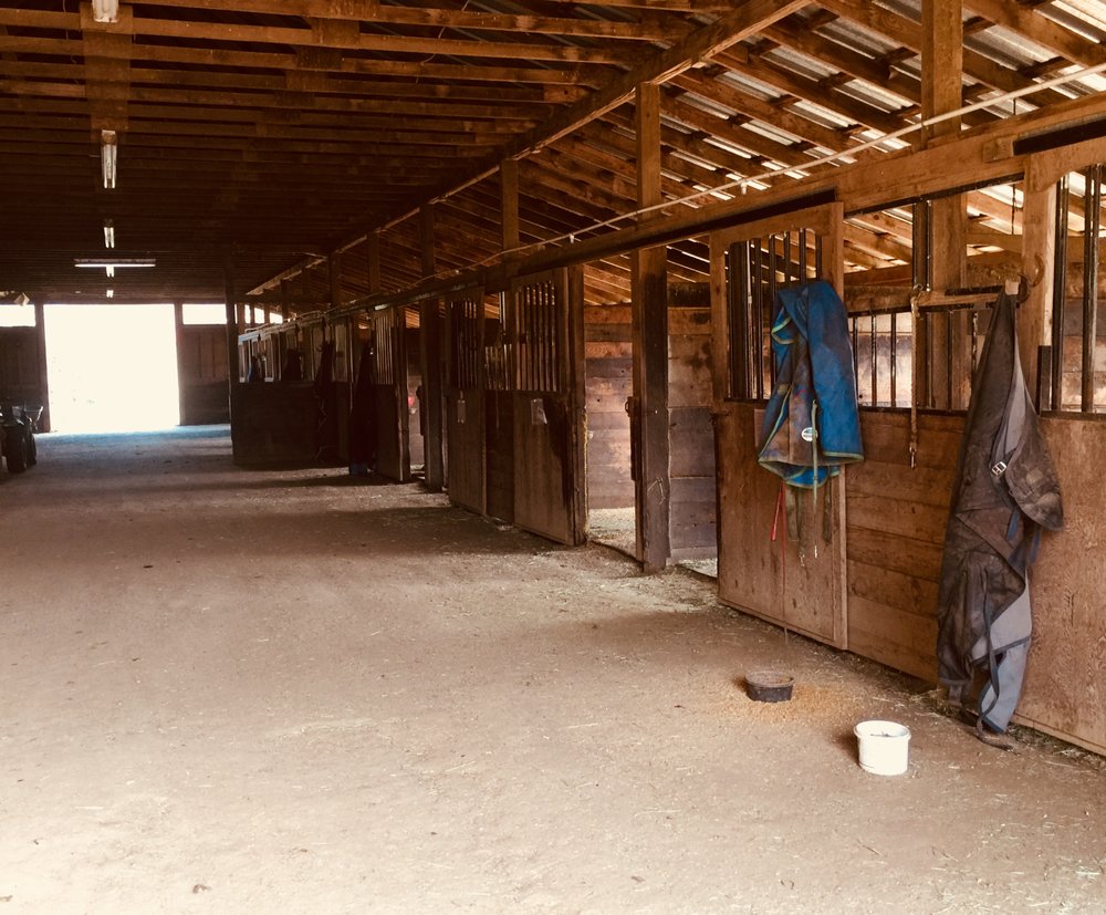 KOZYMANOR STABLES Updated July 2024 Request Information 3619 NE