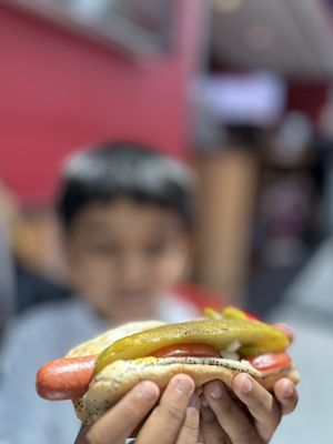 America's Dog by null